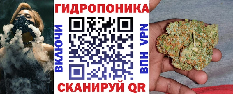 Где можно купить наркотики Новодвинск Амфетамин  Меф мяу мяу  Галлюциногенные грибы  ГАШ 