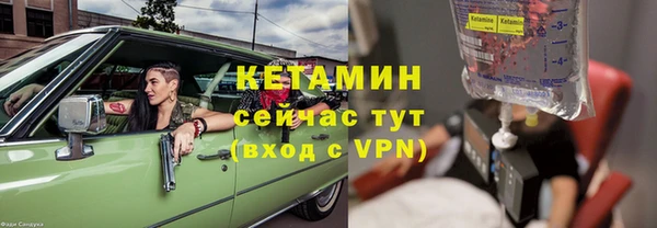 прущие грибы Надым