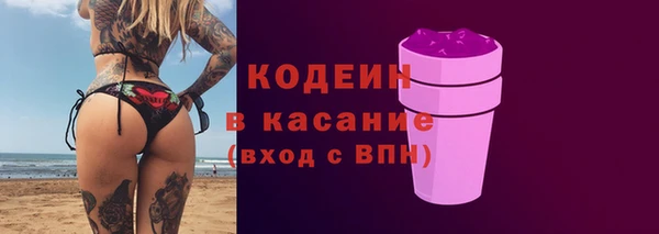 прущие грибы Надым