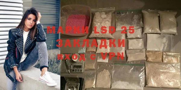 хмурый Анива