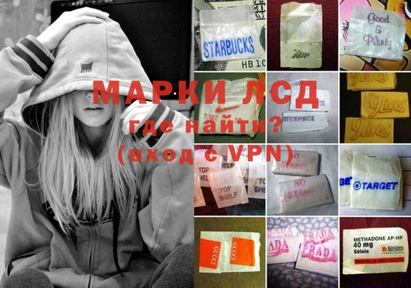 стаф Нея