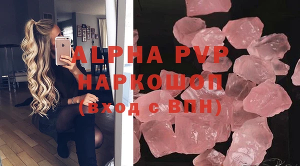 прущие грибы Надым