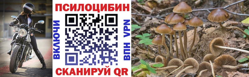 Псилоцибиновые грибы Psilocybine cubensis  mega зеркало  Новодвинск  наркотики 
