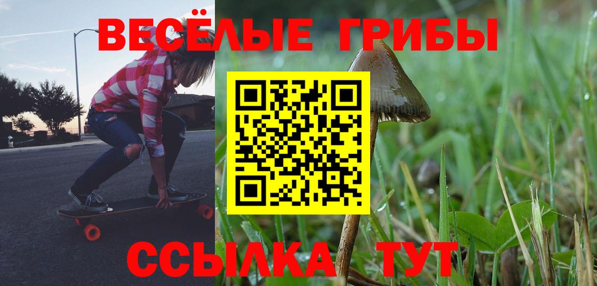 купить наркотики сайты  Псилоцибиновые грибы Magic Shrooms  Вход с VPN  Новодвинск 