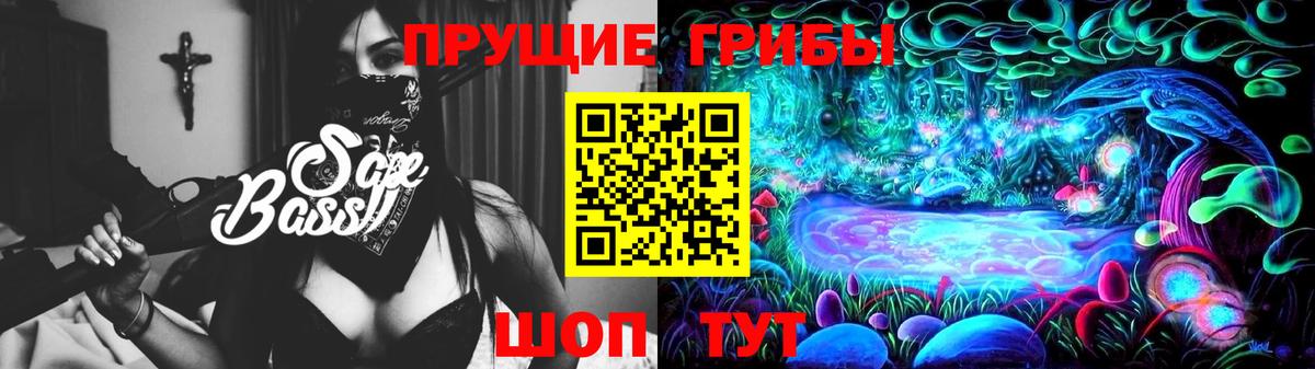 Псилоцибиновые грибы Psilocybe Новодвинск