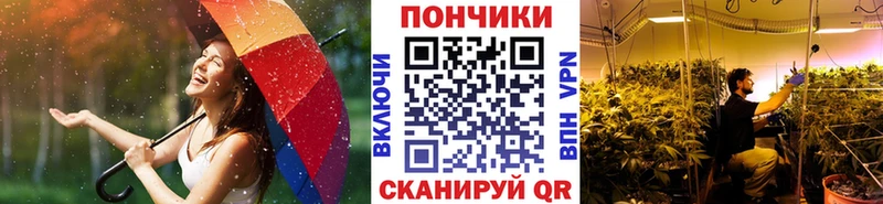Канабис индика цены Новодвинск